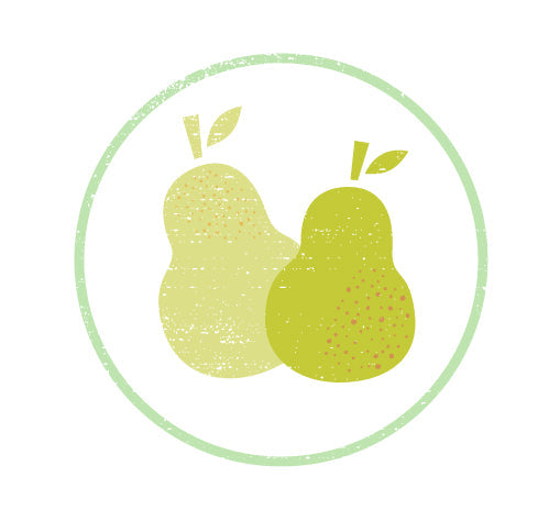 Trunk Show & Workshops @ Beadology